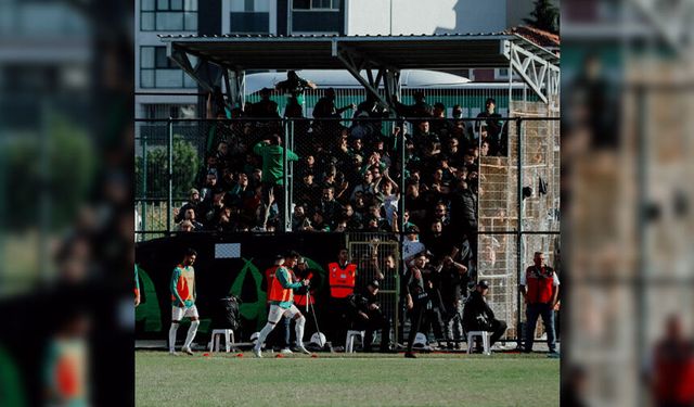 Sakaryaspor yine PFDK'ya sevk edildi!