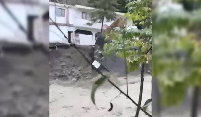Sel suları kamelyayı yuttu