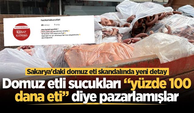 Sakarya'daki domuz eti skandalında yeni detay! Domuz etli sucukları “yüzde 100 dana eti” diye pazarlamışlar