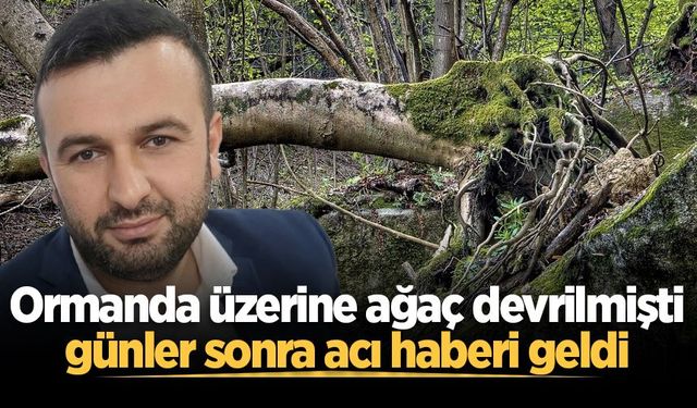 Ormanda üzerine ağaç devrilmişti, günler sonra acı haberi geldi