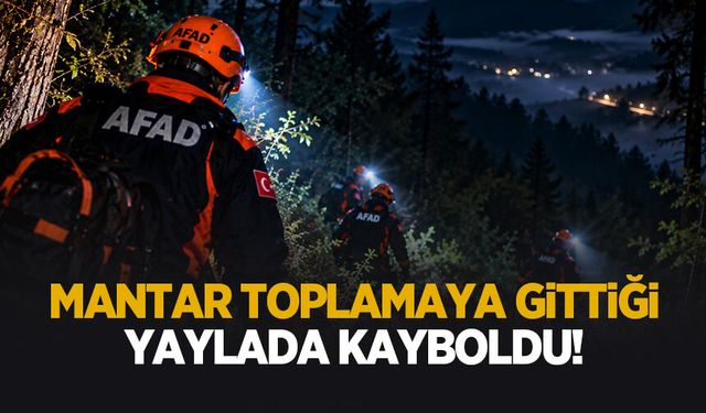 Karagöl Yaylası'nda kayboldu