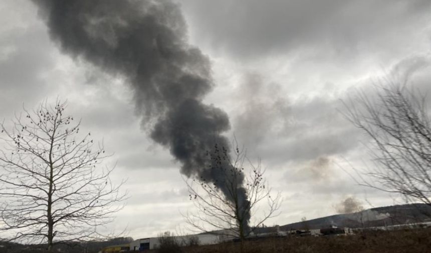 Adapazarı Keresteciler Sanayi Sitesi'nde yangın