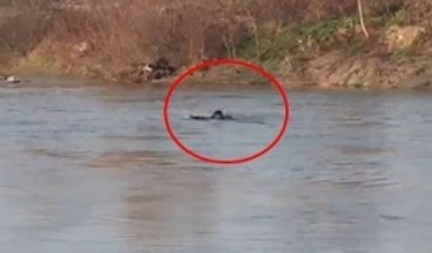 Pazarcı Salih'i arama çalışmaları sonlandırıldı