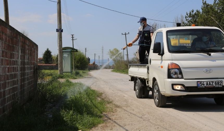 Serdivan'da ilkbaharın gelişiyle ilaçlama çalışmalarına başladı