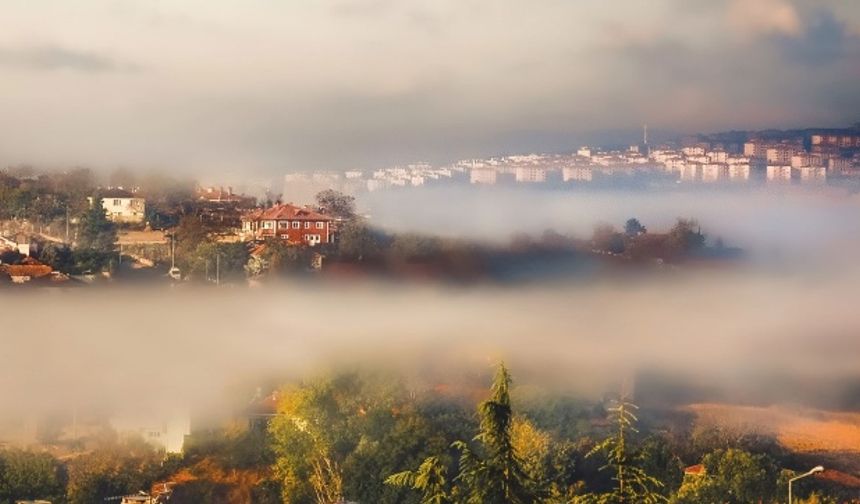 "Şehrin Kalbi Adapazarı" fotoğraf yarışması sonuçları açıklandı