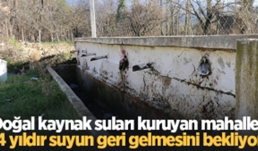 Doğal kaynak suları kuruyan mahalleli, 4 yıldır suyun geri gelmesini bekliyor