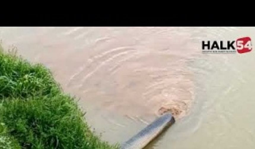 Sakarya Nehri'nde 'çevre katliamı' iddiası