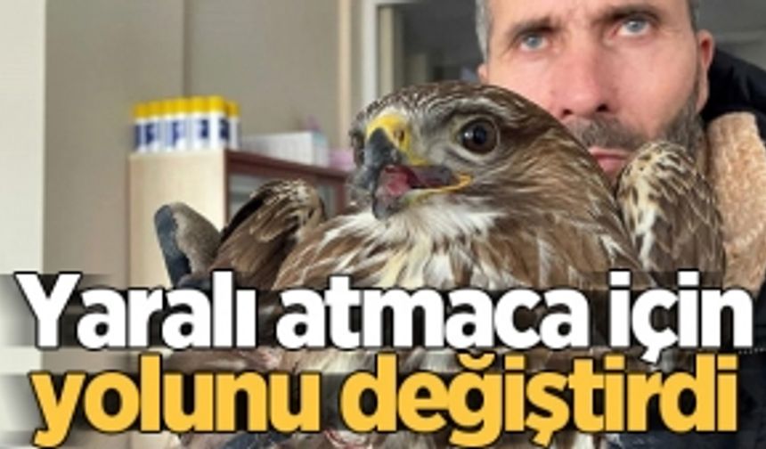 Yaralı atmaca için yolunu değiştirdi