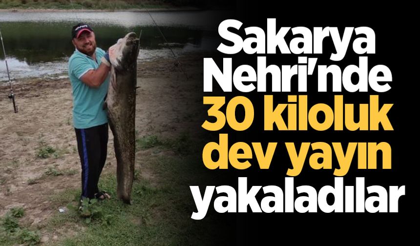 Sakarya Nehri'nde 30 kiloluk dev yayın yakaladılar
