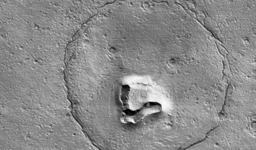 Astronomlar Mars'ta bir 'Ayı' keşfetti
