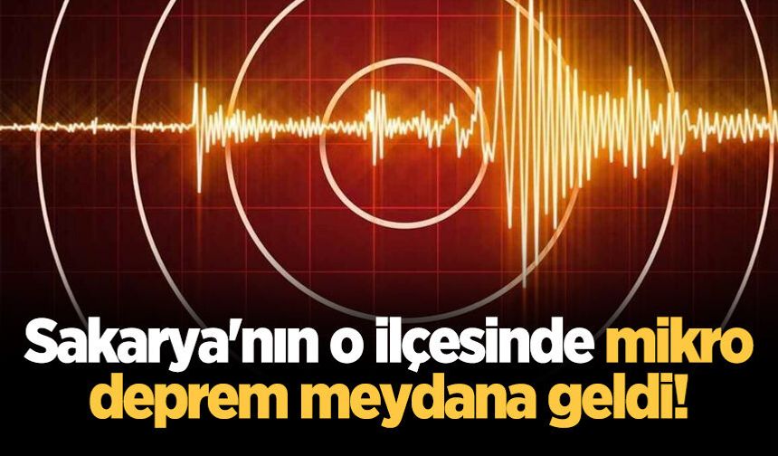Kandilli ve AFAD açıkladı: Sakarya'nın o ilçesinde mikro deprem!