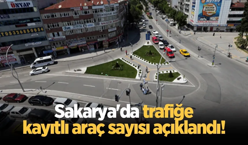 Sakarya'da trafiğe kayıtlı araç sayısı 446 bini aştı