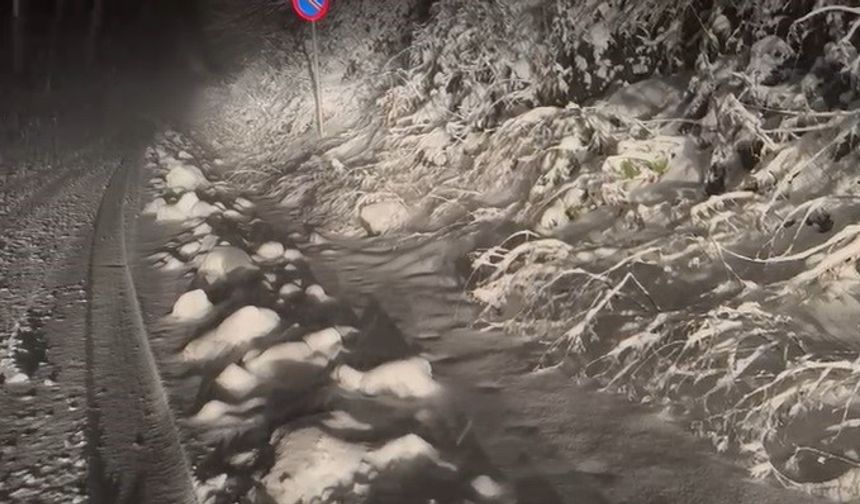 Kartepe'de kar yağışı etkili oluyor