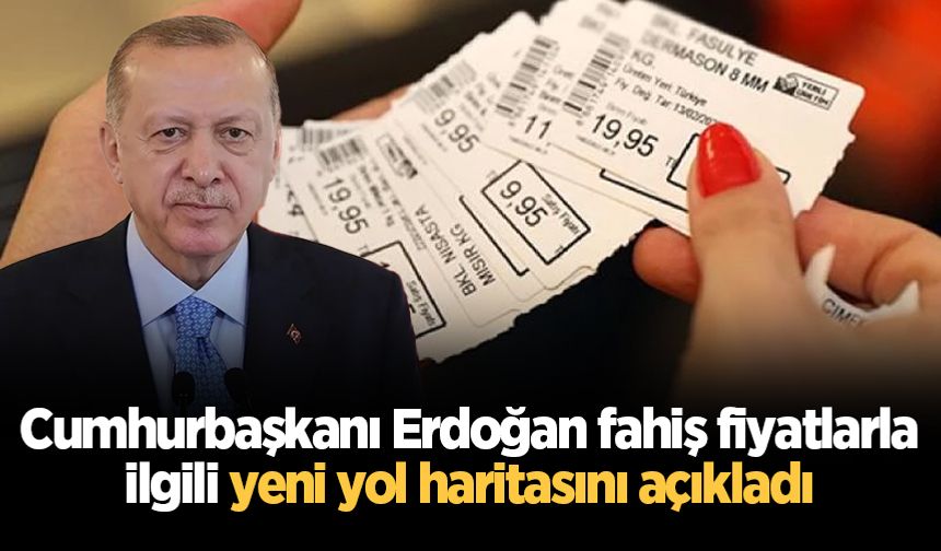 Cumhurbaşkanı Erdoğan fahiş fiyatlarla ilgili yeni yol haritasını açıkladı