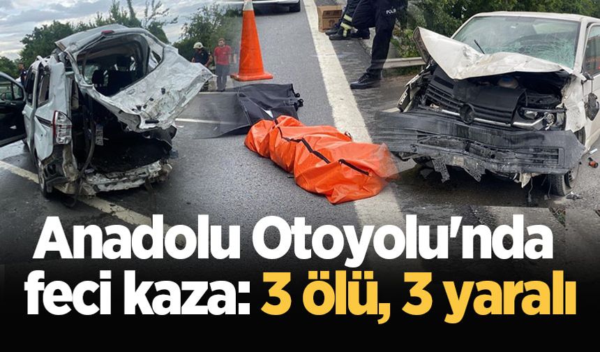 Anadolu Otoyolu'nda feci kaza: 3 ölü, 3 yaralı