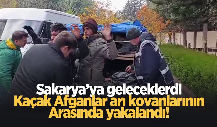 Arı kovanlarının altından 4 kaçak Afgan çıktı