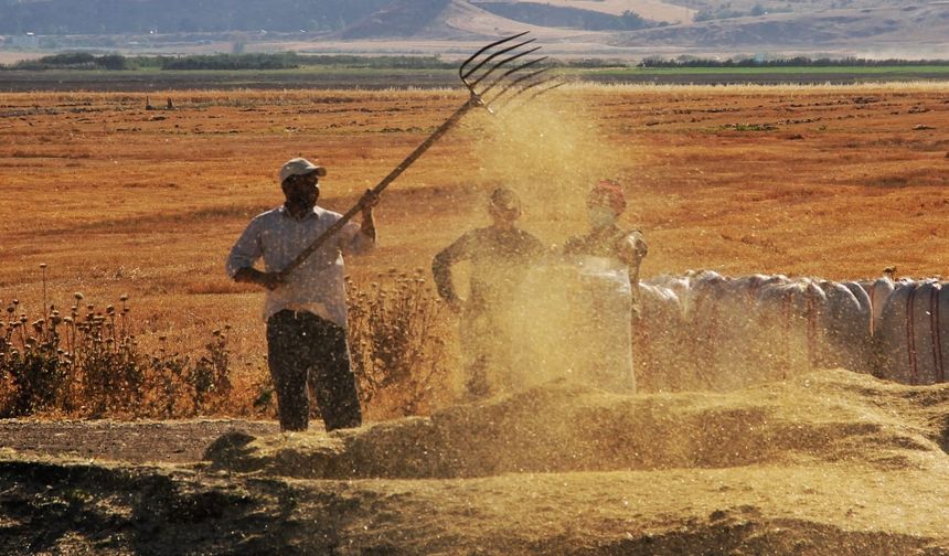 Tarımsal girdi fiyat endeksi arttı