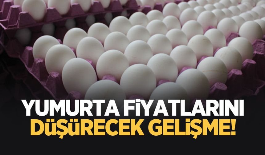 Bakanlıktan yumurta fiyatları için yeni hamle
