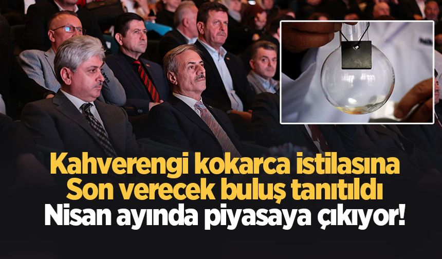 Kahverengi kokarca istilasını sona erdirecek; Nisan'da çıkıyor