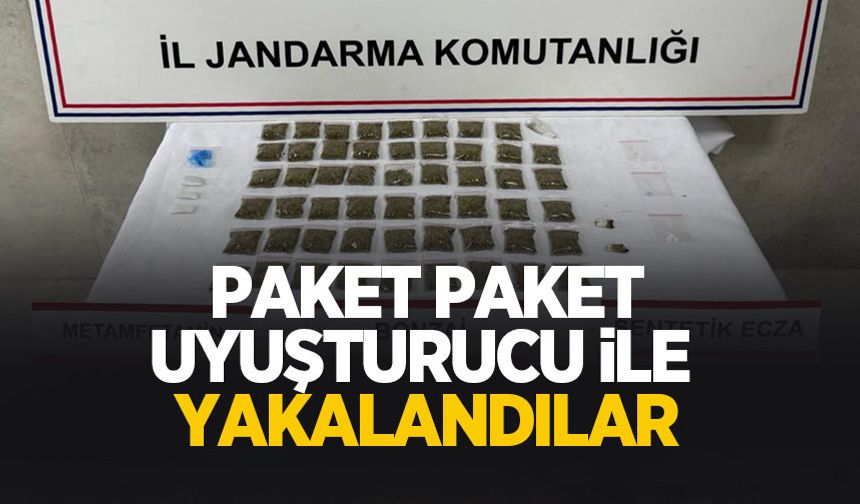 Sapanca'da uyuşturucu operasyonu