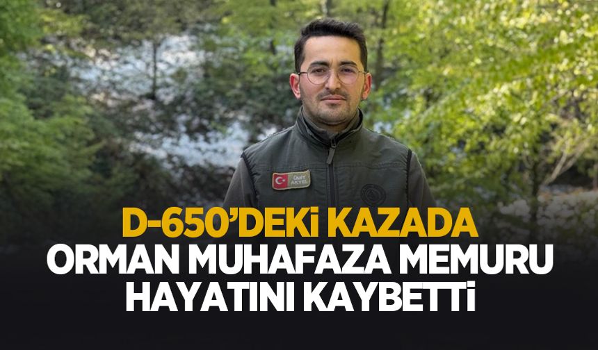 Feci kazada orman muhafaza memuru hayatını kaybetti