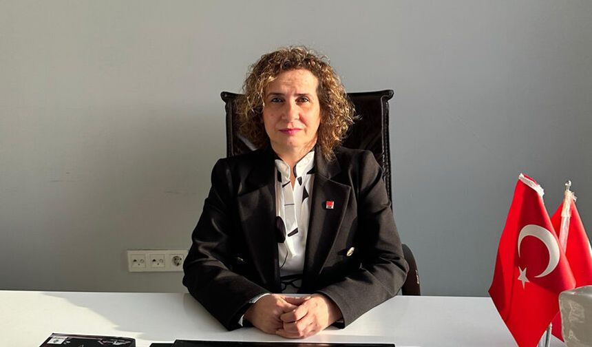 Nalan Yedekçi, Yeni Parti Serdivan Kurucu İlçe Başkanı oldu