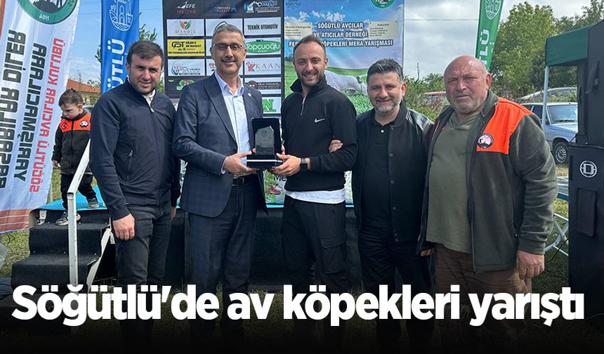 Söğütlü'de av köpekleri yarıştı