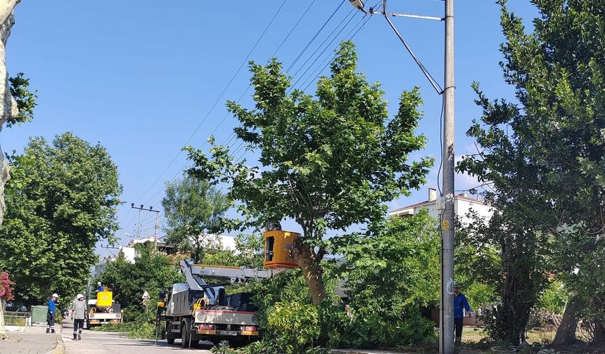 SEDAŞ, Kocaeli’de kesintisiz enerji için ağaç budama çalışmalarını sürdürüyor