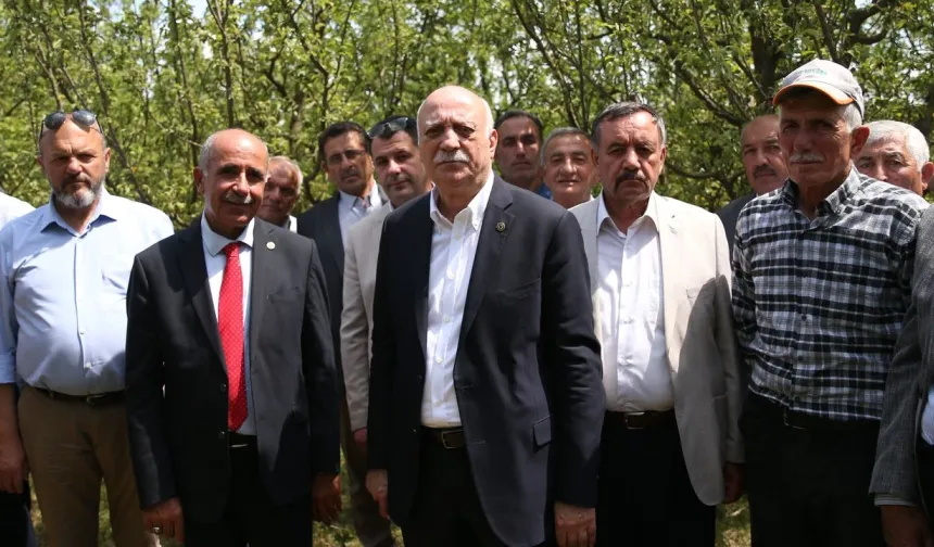 Bayraktar, Kastamonu’da zirai dondan zarar gören bahçelerde incelemelerde bulundu