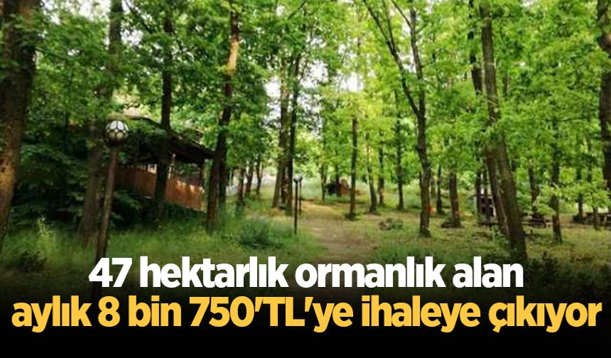 47 hektarlık ormanlık alan aylık 8 bin 750'TL'ye ihaleye çıkıyor