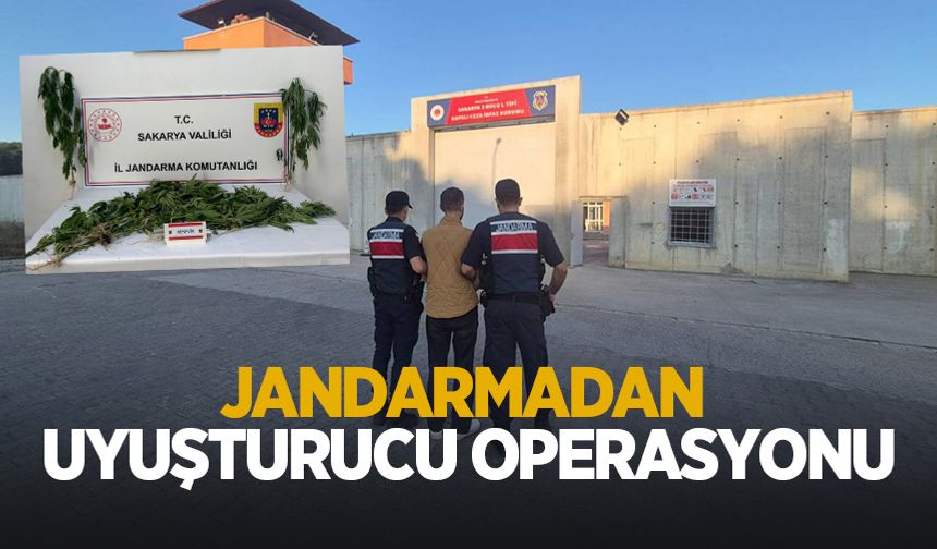 Jandarmadan uyuşturucu operasyonu: 3 tutuklama