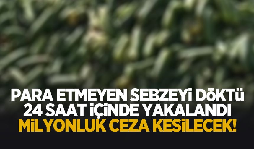 Dökülen ürüne milyonluk ceza!