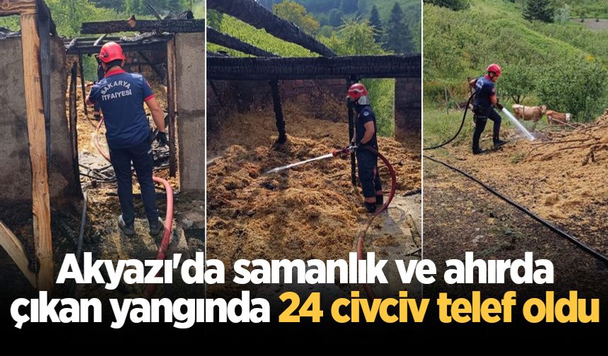 Akyazı'da samanlık ve ahırda çıkan yangında 24 civciv telef oldu