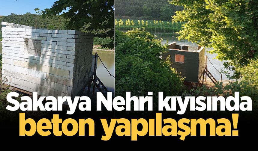 Sakarya Nehri kıyısında beton yapılaşma!