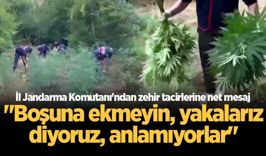 İl Jandarma Komutanı'ndan zehir tacirlerine net mesaj: "Boşuna ekmeyin, yakalarız diyoruz, anlamıyorlar"