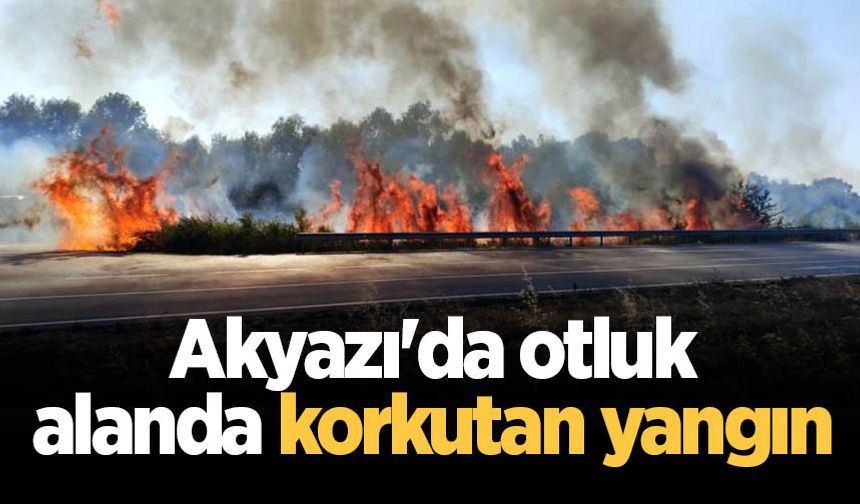 Akyazı'da otluk alanda korkutan yangın