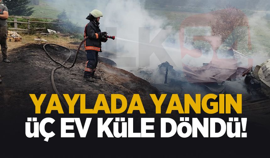 Yaylada iki ev ve bir ahır kül oldu