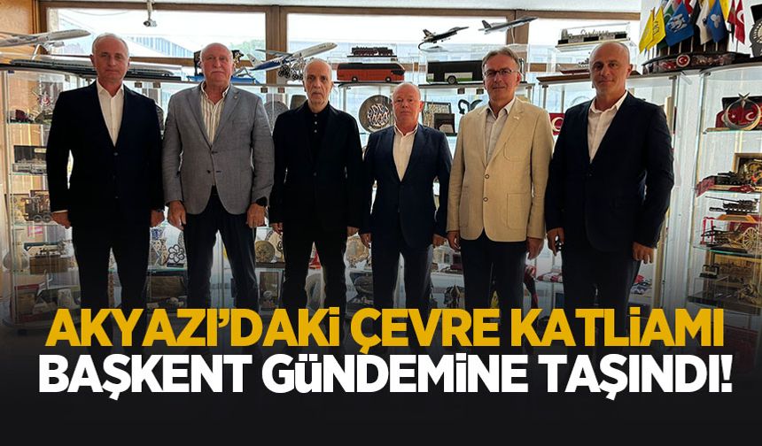 Mudurnu Deresi'ndeki çevre katliamı Ankara gündeminde