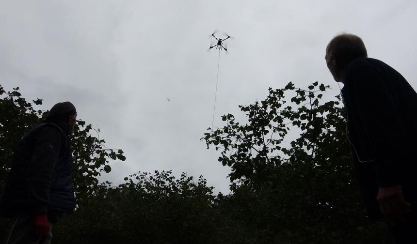 Karadenizli fındık üreticileri çuvalları drone ile taşıyor! Sakarya'da üretilen ilacı test edecekler