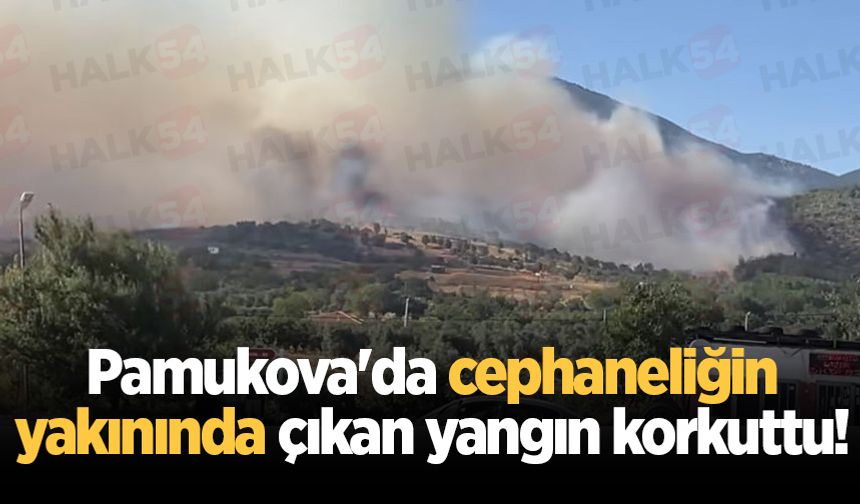 Pamukova'da cephaneliğin yakınında orman yangını!