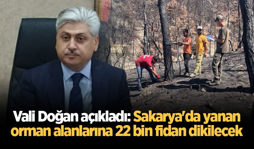 Vali Doğan açıkladı: Sakarya'da yanan orman alanlarına 22 bin fidan dikilecek