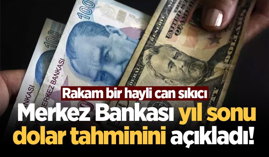 Merkez Bankası yıl sonu dolar tahminini açıkladı!