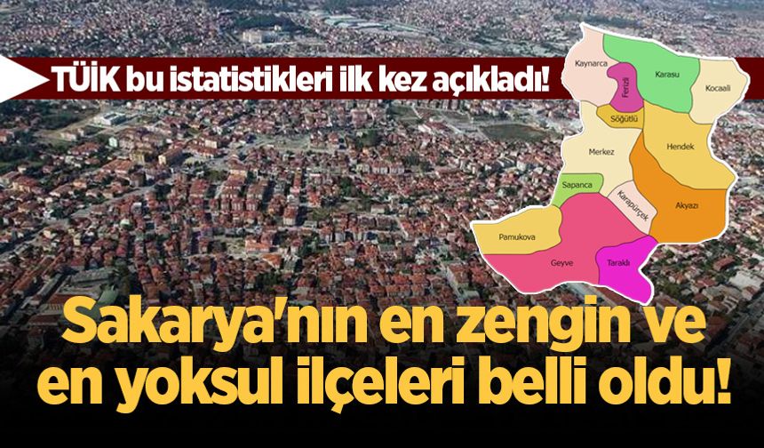 Sakarya'nın en zengin ve en yoksul ilçeleri belli oldu!