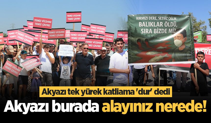 Akyazı tek yürek katliama 'dur' dedi: Akyazı burada alayınız nerede!