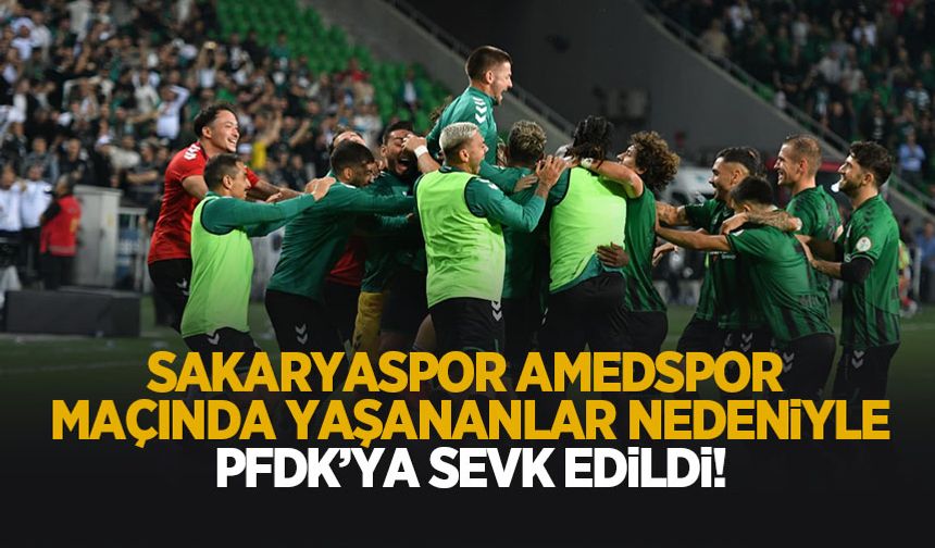Sakaryaspor PFDK'ya sevk edildi