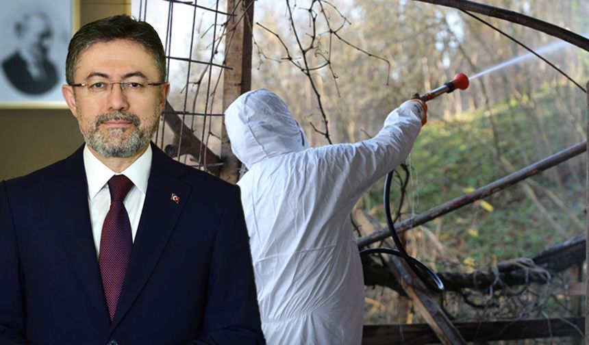 Bakan Yumaklı'dan kahverengi kokarcayla mücadele açıklaması: 1 milyondan fazla hanede ilaçlama yapıldı