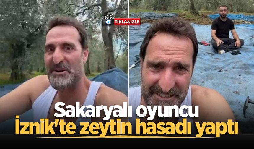 Sakaryalı oyuncu İznik'te zeytin hasadı yaptı