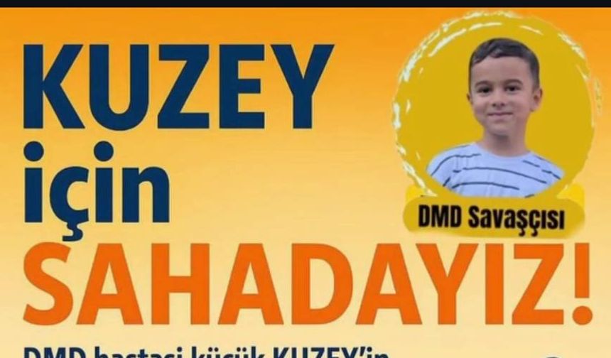 Kuzey için sahadalar