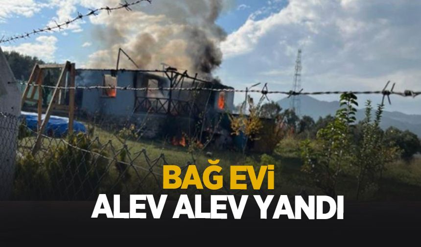 Bağ evi alevlere teslim oldu