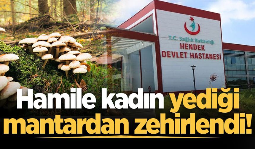 Hendek'te hamile kadın yediği mantardan zehirlendi!